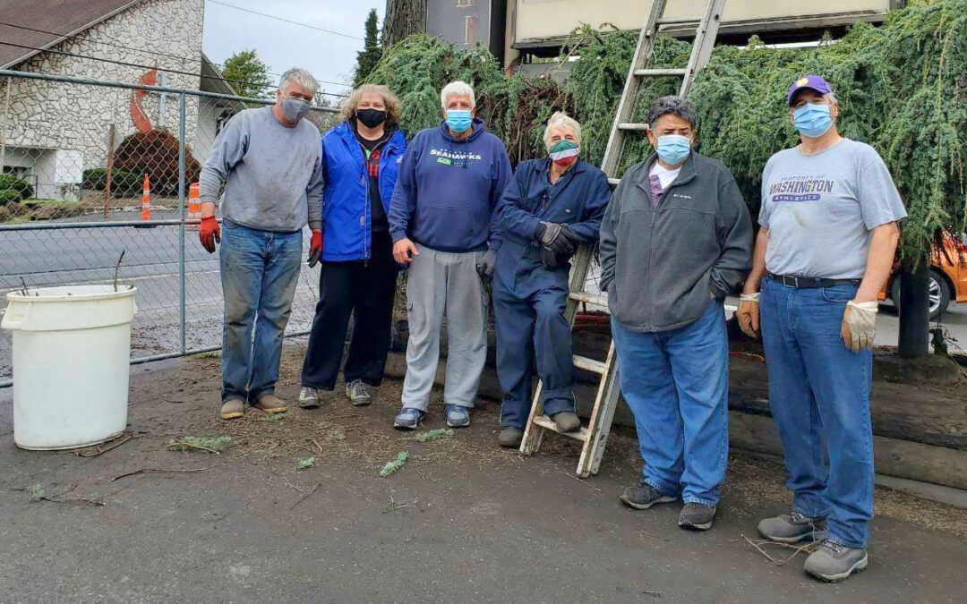 Volunteer for Casa Italiana